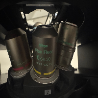 Nikon Eclipse Ts2R Inverted Fluorescence Microscope image 2